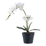 Orchidee kunstplant - groen/wit - 47 cm - groen en wit - Mooier Thuis