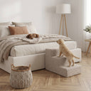 Beige hondentrap in bouclé naast bed, pup loopt naar boven