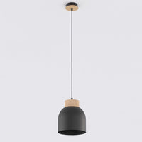 Vigo hanglamp hout 1-lichts zwart