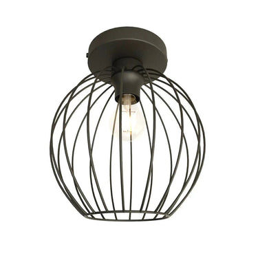 NEST 1-lichts plafondlamp - Zwart frame