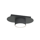 DIAZ 1-lichts plafondlamp - Zwart plafondspots & spotbalken - metaal - Mooier Thuis