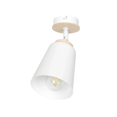 ATLAS 1-lichts plafondlamp - Wit