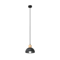 SECO 1-lichts hanglamp - Zwart metaal - Houten accent - Mooier Thuis