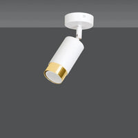 Emibig HIRO 1-lichts plafondspot - Wit goud