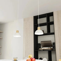 Emibig SECO 1-lichts hanglamp - Wit metaal met hout