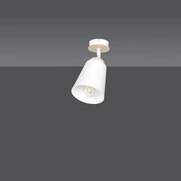 Emibig ATLAS 1-lichts plafondlamp - Wit