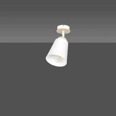 ATLAS 1-lichts plafondlamp - Wit