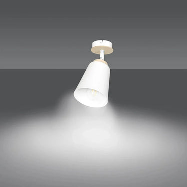 ATLAS 1-lichts plafondlamp - Wit