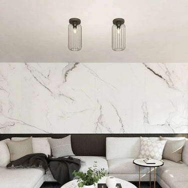 BARN 1-lichts plafondlamp - Zwart metaal draadkap