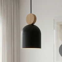 Mesi hanglamp hout 1-lichts zwart