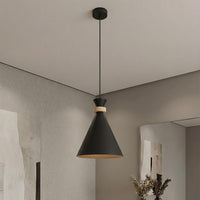 Zero hanglamp hout 1-lichts zwart