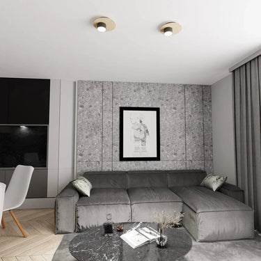 PIXO 1-lichts plafondlamp - Zwart