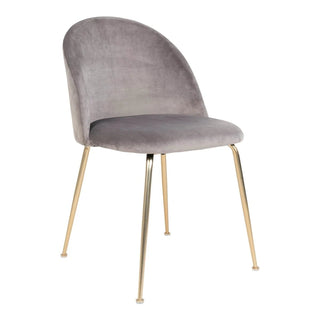 Set van 2 - Eetkamerstoel Geneve - Velvet Grijs – Messing poten