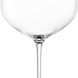 Zwiesel Glas Kolibri Witte wijnglas 0,559 L - 2 stuks - helder en transparant - Mooier Thuis