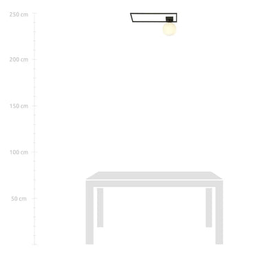 IMAGO 1-lichts plafondlamp - Zwart frame - Opaalwit glas