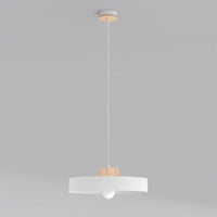 Kivi hanglamp hout 1-lichts wit naturel groot