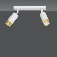 Emibig HIRO 2-lichts plafondspot - Wit goud