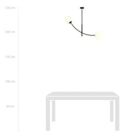 HUNTER 2-lichts hanglamp - Wit glas - Zwart frame - afbeelding 2