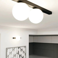 Emibig FIT 2-lichts plafondlamp - Wit glas - Zwart frame - Mooier Thuis