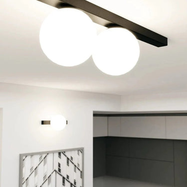 FIT 2-lichts plafondlamp - Wit glas - Zwart frame