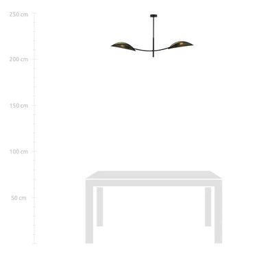 LOTUS 2-lichts hanglamp - Zwart goud