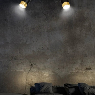 HIRO 2-lichts plafondlamp - Zwart met goud