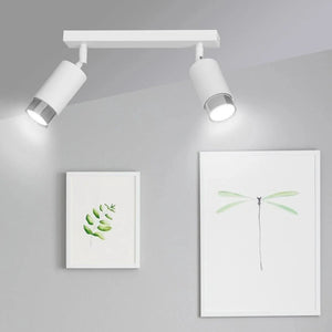 HIRO 2-lichts plafondlamp - Wit-chroom