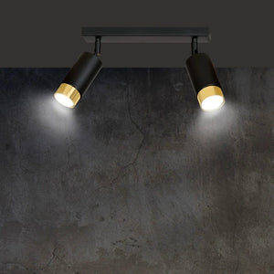 HIRO 2-lichts plafondlamp - Zwart met goud