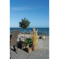 House of Nordic Sema Mandenset van kubu rotan - naturel - set van 3 stuks