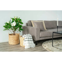 Passo Mandenset rond van waterhyacint - naturel - set van 2 stuks - afbeelding 2