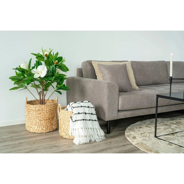 Passo Mandenset rond van waterhyacint - naturel - set van 2 stuks