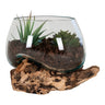 San Marino waterdrop decoratief object - naturel - 15 cm - teakhout en glas - Mooier Thuis