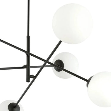 Linear 6 Schwarz/Opal