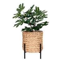 House of Nordic Antas Bloempot van waterhyacint - Mooier Thuis