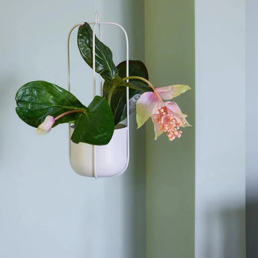Lotus hangpotten lichtgrijs (set van 2)