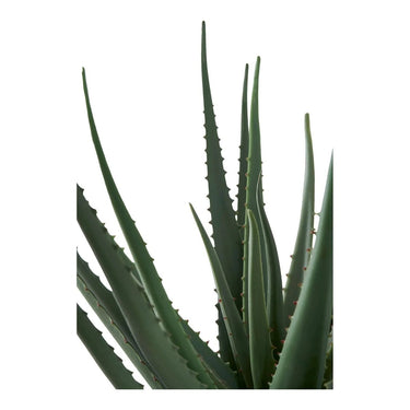 Aloë vera kunstplant - groen - 51 cm