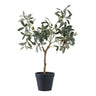 Olijfboom kunstboom - groen - 61 cm - 22,5 cm breed - Mooier Thuis