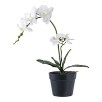 Orchidee kunstplant - groen/wit - 47 cm - Mooier Thuis