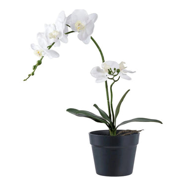 Orchidee kunstplant - groen/wit - 47 cm