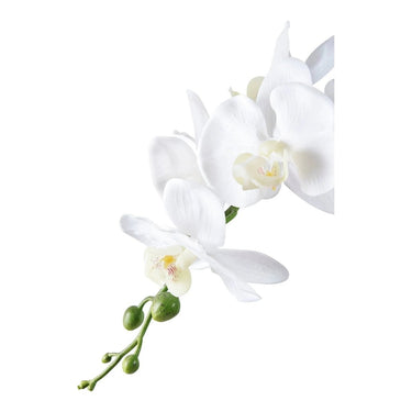 Orchidee kunstplant - groen/wit - 47 cm
