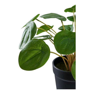 Pelia kunstplant - groen - 14 cm
