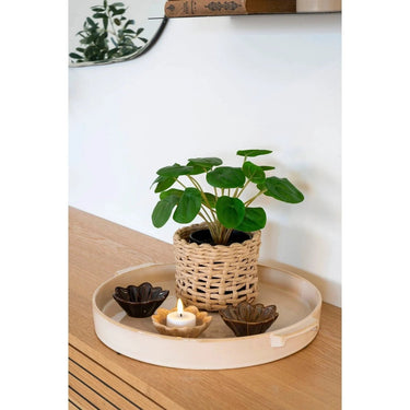 Pelia kunstplant - groen - 14 cm