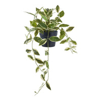 Hoya kunstplant - groen - 33 cm - Mooier Thuis
