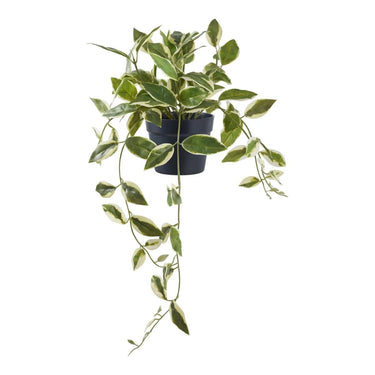 Hoya kunstplant - groen - 33 cm