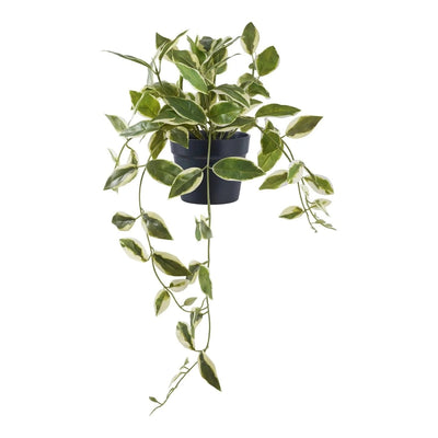 Künstliche Hoya-Pflanze – grün – 33 cm