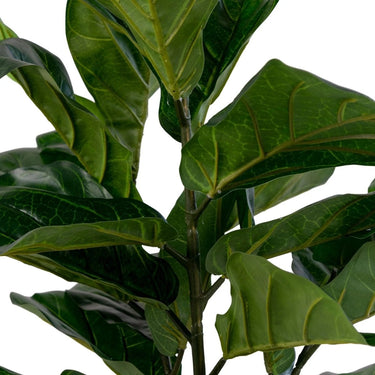 Vioolbladplant kunstboom - groen - 100 cm
