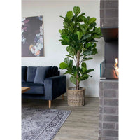 House of Nordic Vioolbladplant kunstboom - groen - 190 cm - Mooier Thuis