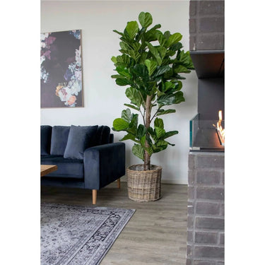 Vioolbladplant kunstboom - groen - 190 cm