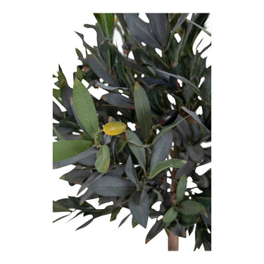 Olijfboom kunstboom - groen - 120 cm