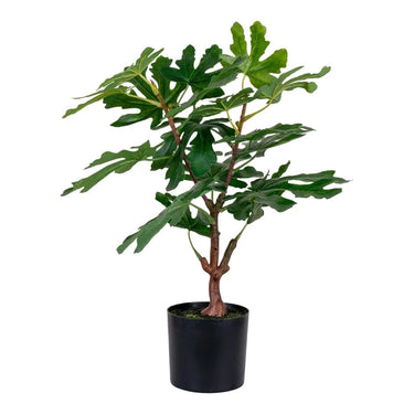 Ficus kunstboom - groen - 60 cm